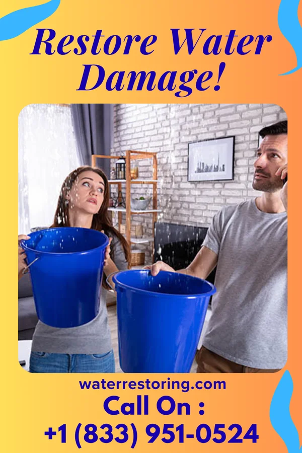 water restoration Citywide Water Mitigation Co Glenmoore